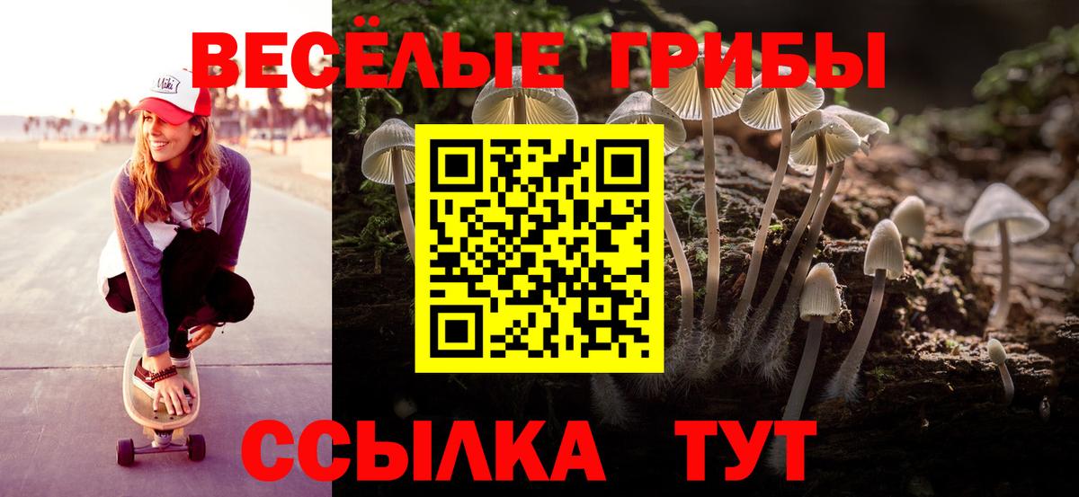 Пушкино  Галлюциногенные грибы Psilocybe  Псилоцибиновые грибы мухоморы  Вход с VPN 